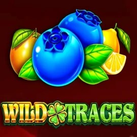 Wild Traces logo – Slots by Amusnet Interactive at Duffspin Casino